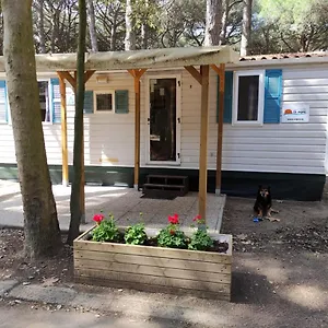  Casa vacanze Mare E Pineta - Mipro Lux 5